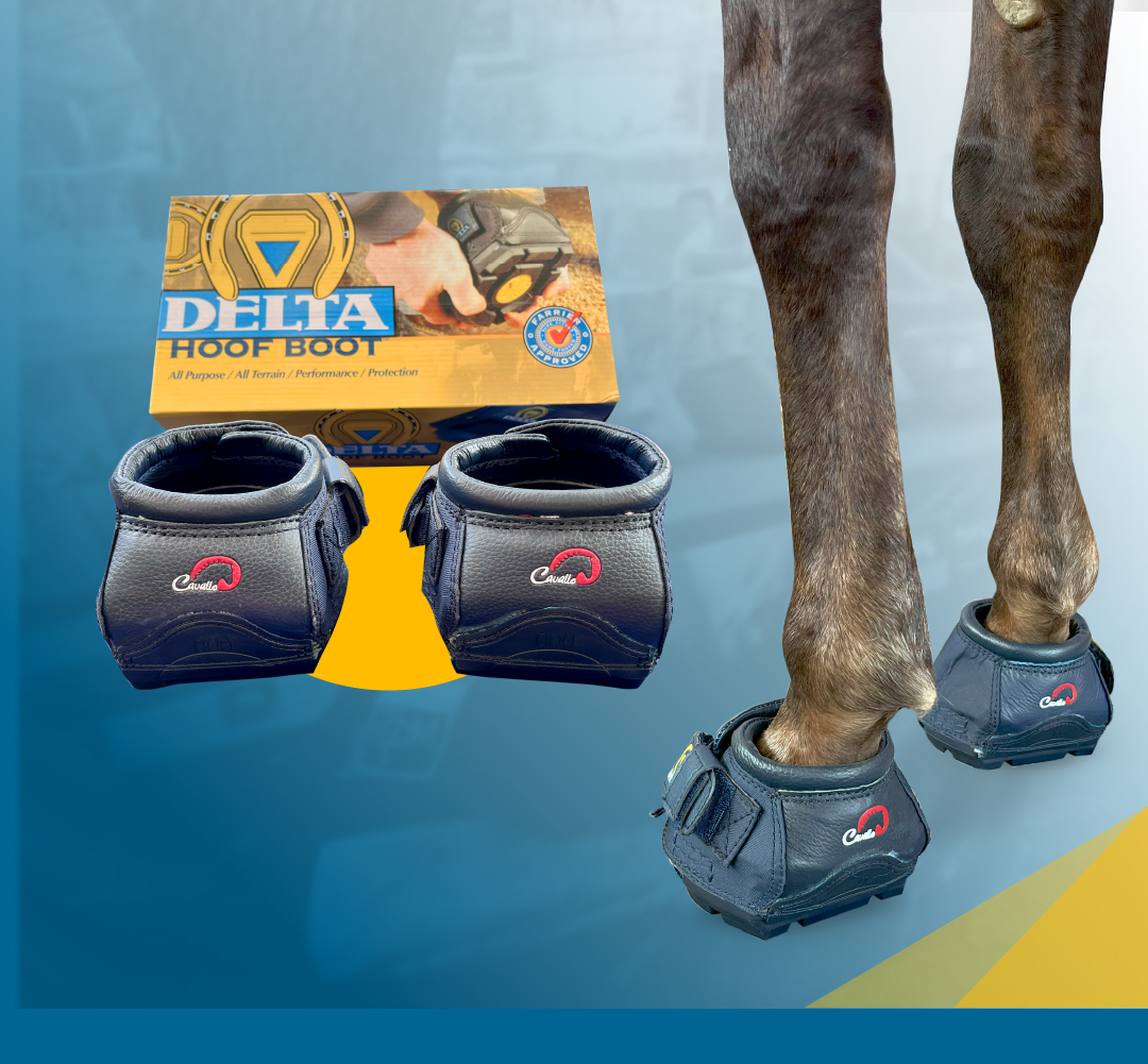 Protege los cascos de tu caballo con las Mustad Delta Hoof Boots